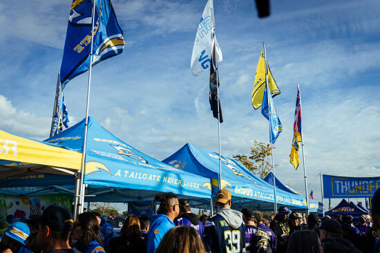 crowd ravens game